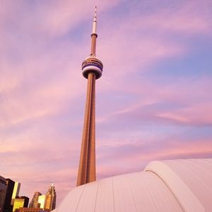 Meet your Posher, Dallyfee